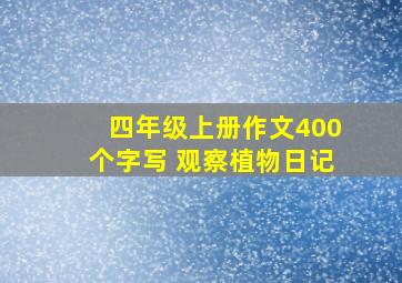 四年级上册作文400个字写 观察植物日记